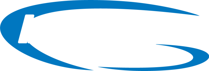 In The Ditch Logo White Text